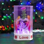 couple gift for wedding , valentines day with light